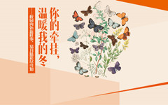 11月精彩